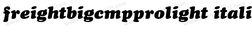 freightbigcmpprolight italic字体转换